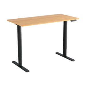 Electric Standing Desk