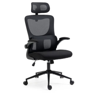 Ergonomic Office Chair